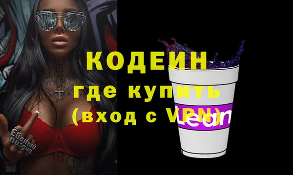 дурь Арсеньев