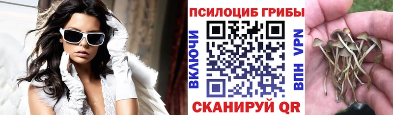 даркнет сайт  Южно-Сухокумск  Галлюциногенные грибы прущие грибы 