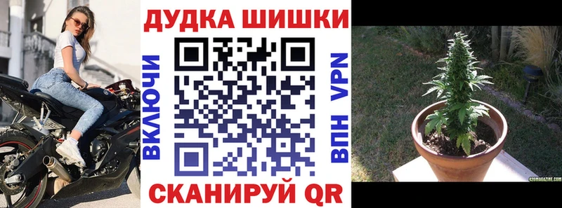 магазин продажи   маркетплейс какой сайт  МАРИХУАНА OG Kush  Южно-Сухокумск 